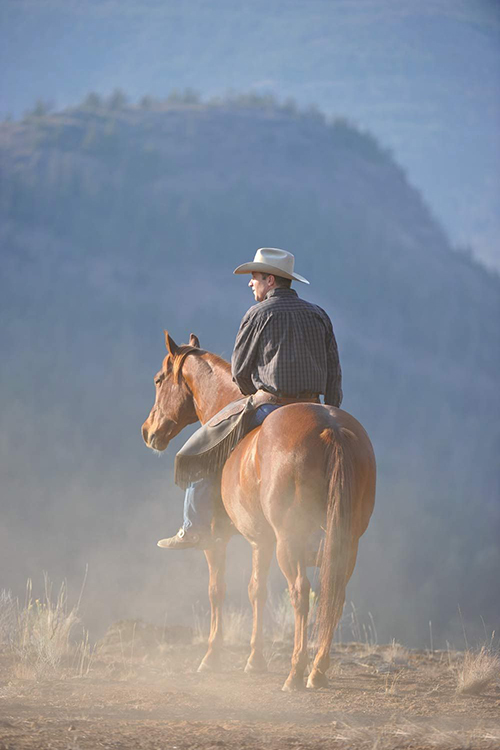 Valley of the Wild Horses